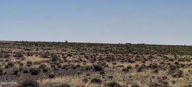 6232 S Prairie Grass Ln unit 294, Williams, AZ 86046 - photo 4