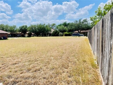 816 Park St, Donna, TX 78537 - photo 3