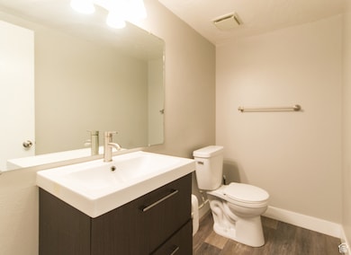 Bathroom featuring dark wood-style floors and vanity