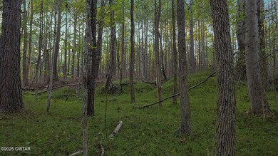 1 Falcon View Dr, Cedar Grove, TN 38388 - photo 7