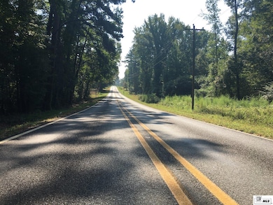 000 Highway 552 unit 20ac+/- North and So, Downsville, LA 71234 - photo 2