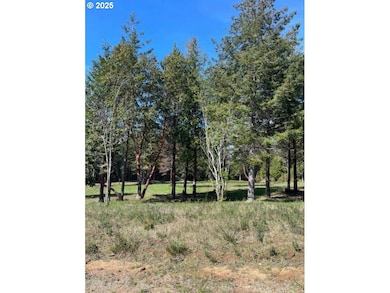 47613 Oregon Coast Hwy unit 1401, Bandon, OR 97411 - photo 6