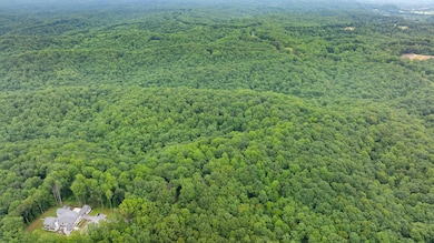 5030 Chinkapin Ln, Franklin, TN 37069 - photo 6