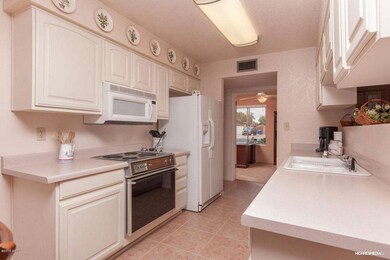 Bright sunny kitchen