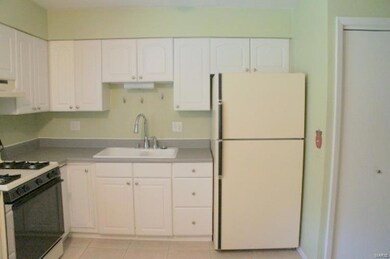 14 Edgewood Ct, Freeburg, IL 62243 - photo 6