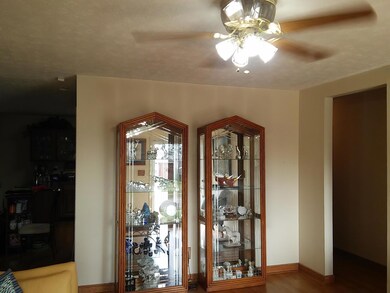 Living Room Area pix#5