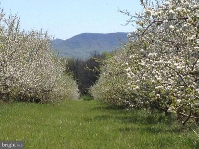 0 Buffalo Marsh Rd unit 1003881718, Middletown, VA 22645 - photo 7