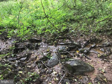 0 Appalachian Ln unit VAWR138236, Linden, VA 22642 - photo 4