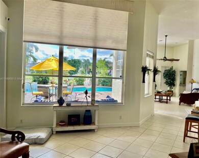 View from Living Room window