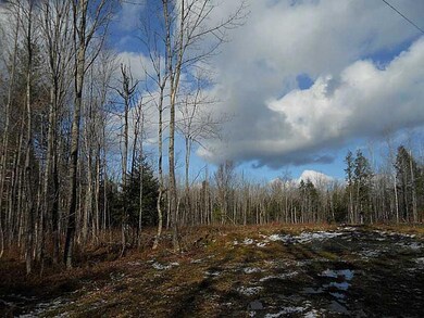 M2 L42 E Ridge Road (Off), Cornville, ME 04976 - photo 3