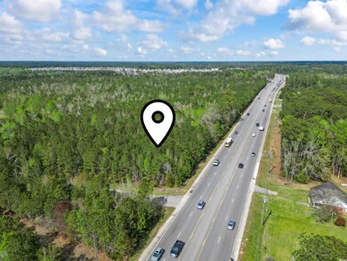 Aerial view featuring a view of trees