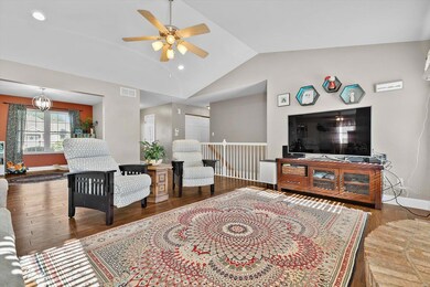 706 Mary Ann Ct, Freeburg, IL 62243 - photo 6