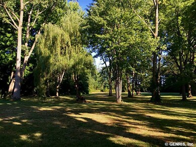 Yard.