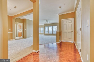 201 Secretariat Dr unit 201F, Havre de Grace, MD 21078 - photo 6