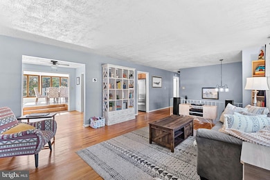 4207 Corcoran St, Alexandria, VA 22309 - photo 4