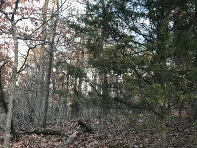 Lot 4 Block 6 Wreay Ln, Bella Vista, AR 72714 - photo 3