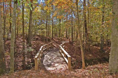 1230 Waterstone Dr, Madison, GA 30650 - photo 7