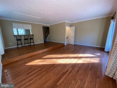13 Tantallon Ct, Newark, DE 19711 - photo 4