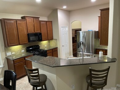 3719 Texas Sotol, San Antonio, TX 78261 - photo 7