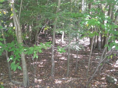 30 Red Hawk Dr, Paupack Township, PA 18436 - photo 2