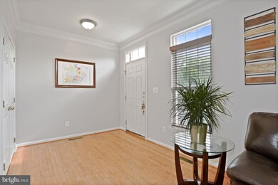 104 Ivy Hills Terrace, Purcellville, VA 20132 - photo 5