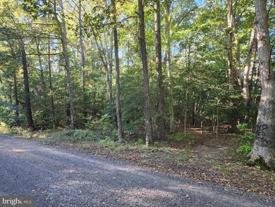 0 Cedar Ln unit VAWE2003294, Colonial Beach, VA 22443 - photo 3