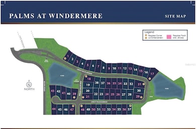 14225 Crest Palm Ave, Windermere, FL 34786 - photo 5