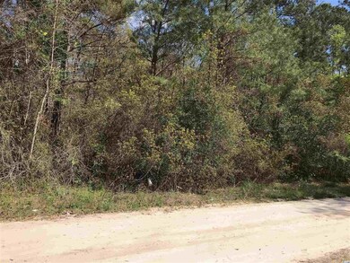 TBD Gemini Cir unit Juniper Bay Estates, Conway, SC 29527 - photo 2