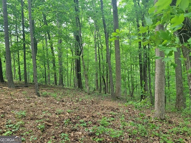 0 Fincherville Rd unit TRACT 3 10435292, Jackson, GA 30233 - photo 2