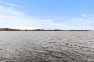 3156 Lakeshore Dr, Scottsboro, AL 35769 - photo 6