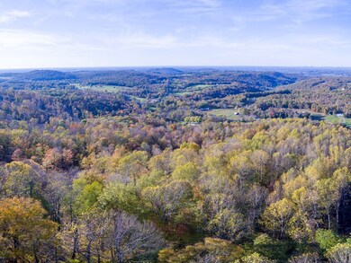 25ac Brotherton Mtn Rd, Cookeville, TN 38506 - photo 6