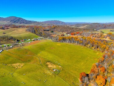 15.98 ac B F Buchanan Highway Quarter Horse Cir, Tazewell, VA 24608 - photo 4