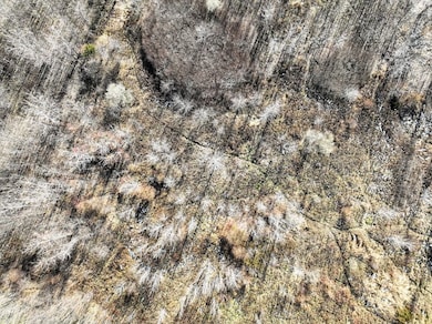 Vl 32nd Ave, Covert, MI 49043 - photo 3