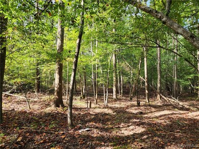 Lot 3 Walnut Shade Rd, Louisa, VA 23093 - photo 6