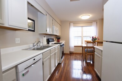 Freshly Painted Kitchen & Cabinets with New BOSCH 