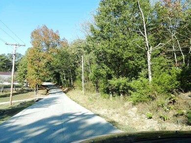 Tbd Hoot Owl Point, Ruth B Rural Township, MO 65686 - photo 5