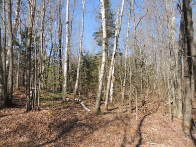 ON S Shore Ln unit 5.37 Ac., Deerbrook, WI 54424 - photo 7