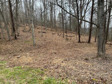 wHDRSmsrSKuWaavUtZwY8w