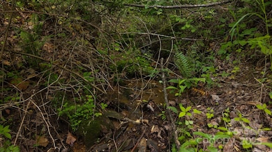 0 Cove Gap Rd unit Offering 1, Moravian Falls, NC 28654 - photo 5