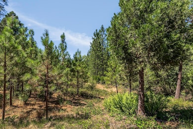 1712-Lot 304 The Point, Meadow Vista, CA 95722 - photo 4