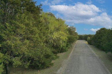 27026 Stonewood Dr, Whitney, TX 76692 - photo 3