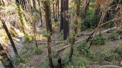 Lot 04 Boulder Brook Dr, Boulder Creek, CA 95006 - photo 5