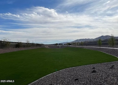 Estrella Crossing Grass area