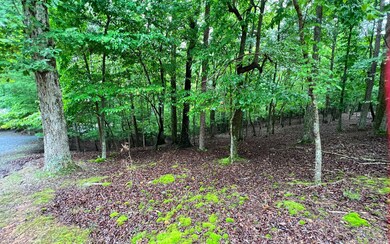 Additional View