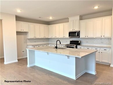 Kitchen Representative Photo