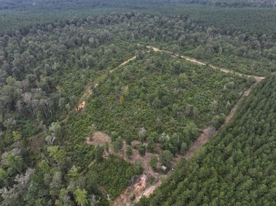 La Hwy 60 unit LotWP001, Franklinton, LA 70438 - photo 6