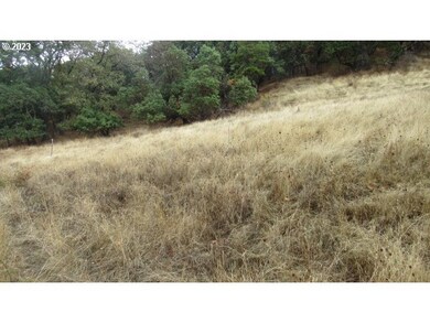 0 SE Meadowlark Ave unit 23438357, Myrtle Creek, OR 97457 - photo 3