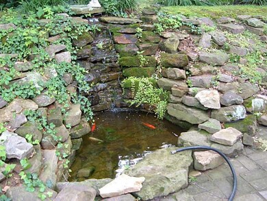 Yard. Goldfish Pond
