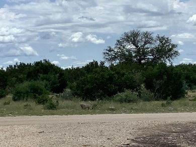 Lone Star Ranch Tract 71, Rocksprings, TX 78880 - photo 6