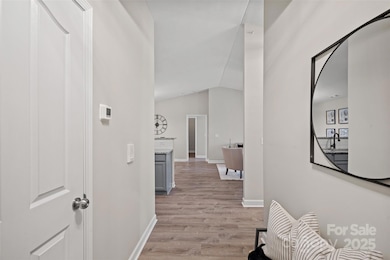 17178 Red Feather Dr unit 17178, Charlotte, NC 28277 - photo 3